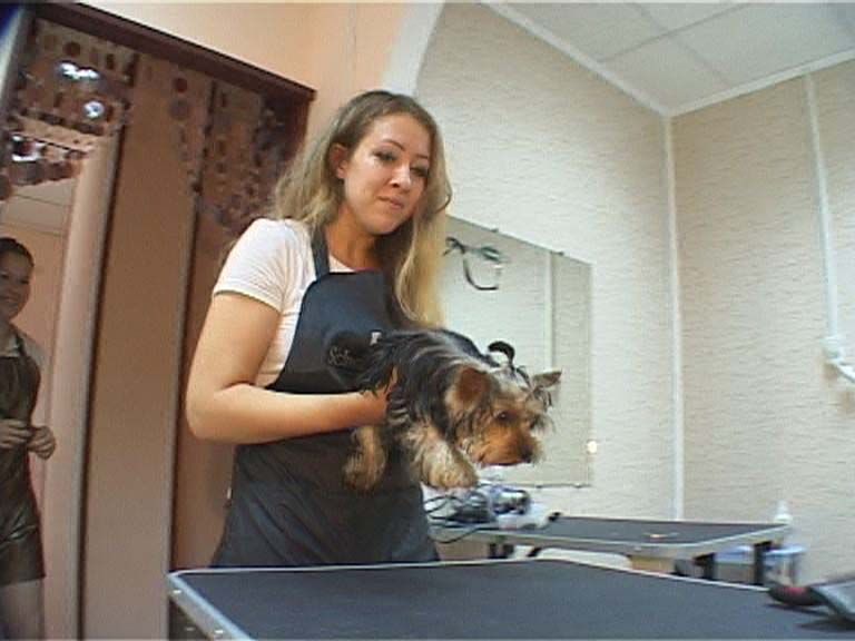 Собачьи радости в зоосалоне