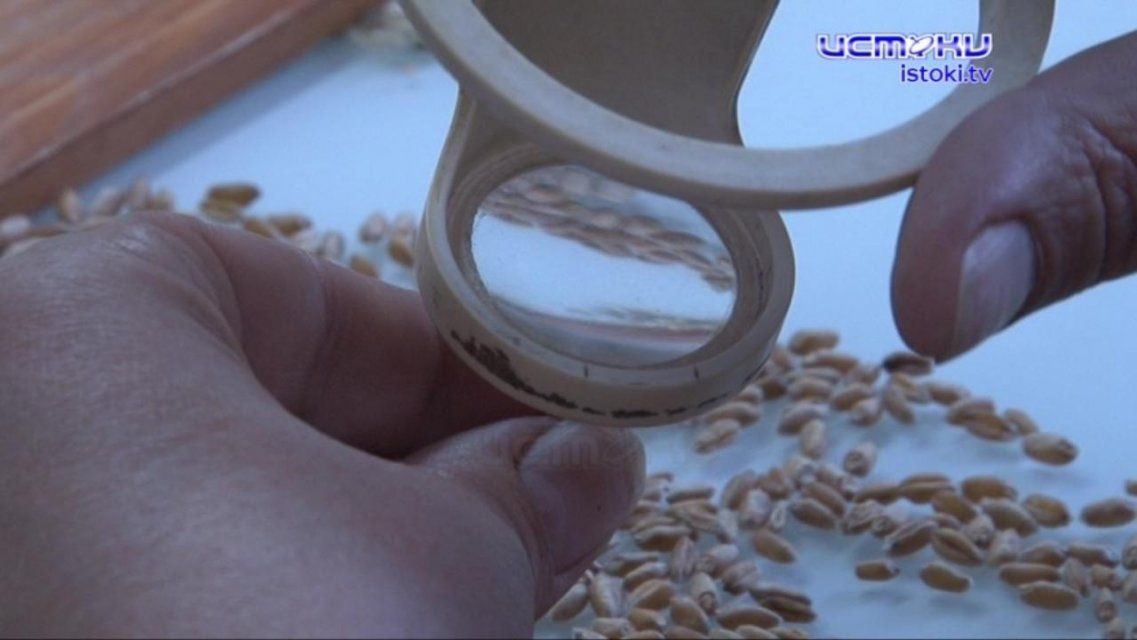 Снова в строю: как возрождается «Орловская хлебная база № 36»