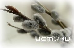 Вербное воскресенье уже завтра!