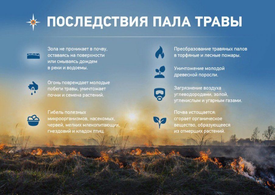 Орловское МЧС предупреждает о последствиях поджигания травы