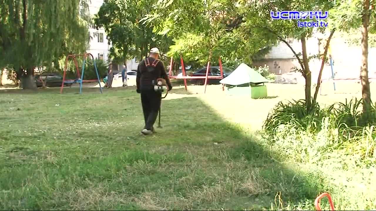 Кто должен отвечать за покос заросших дворов?1626263647