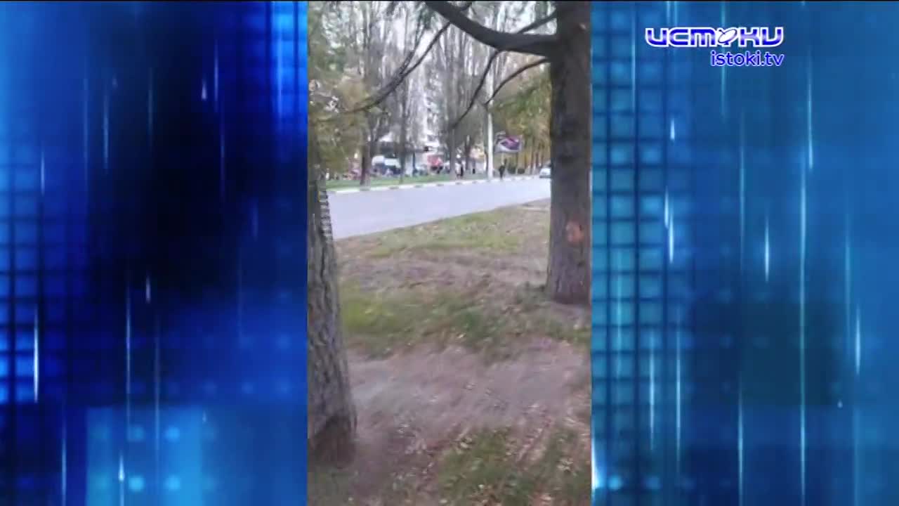 Подростки лишили Александровский мост трех ваз с цветами. Экспресс - новости.