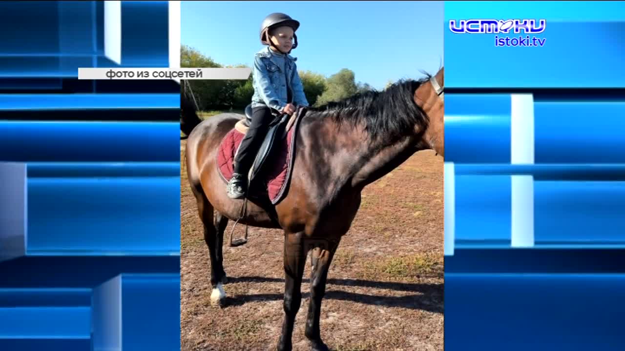 В Орле на грани гибели 162-летний дуб, общегородской субботник намечен на 21 октября, а актеру театра «Свободное пространство» Сергею Козлову вручили ...