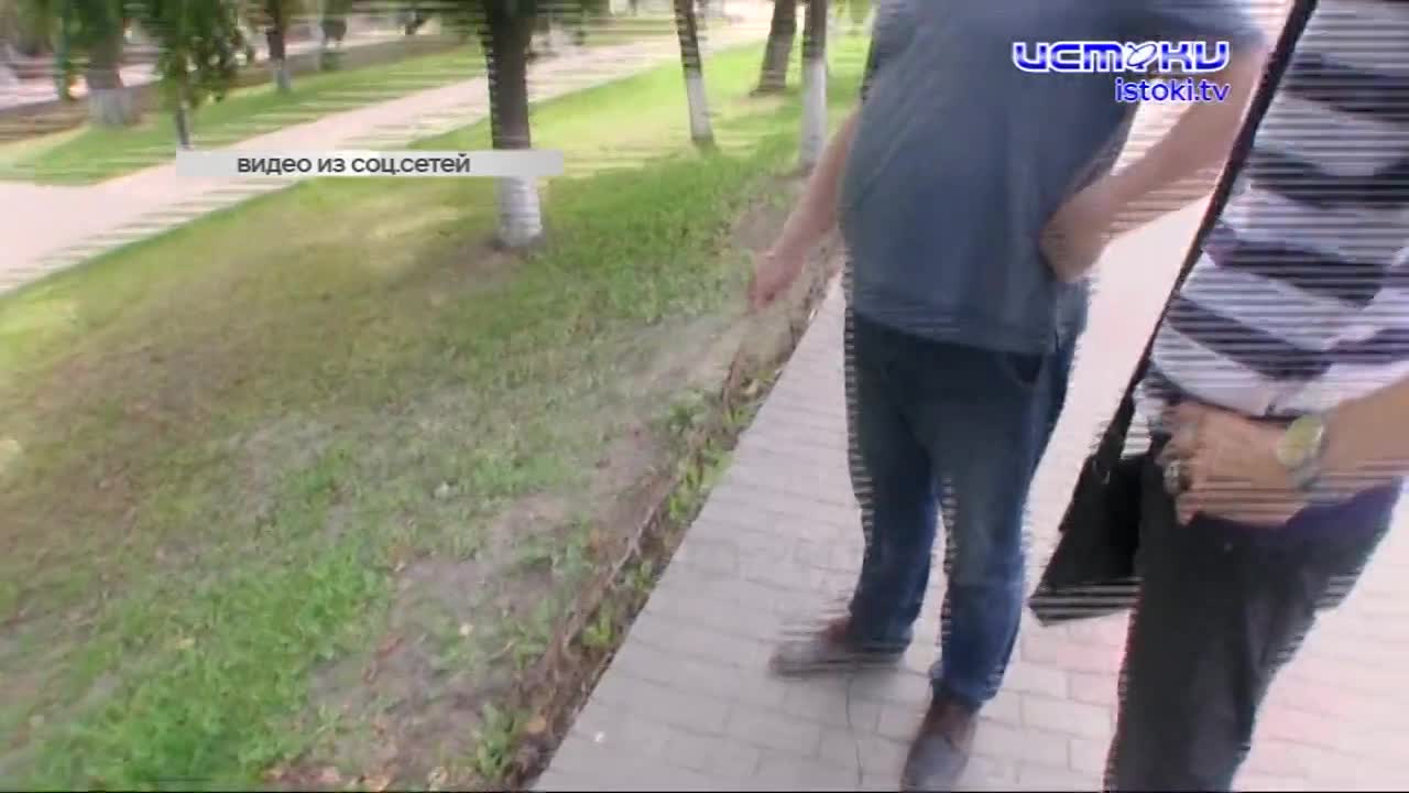 Бордюр вместо забора