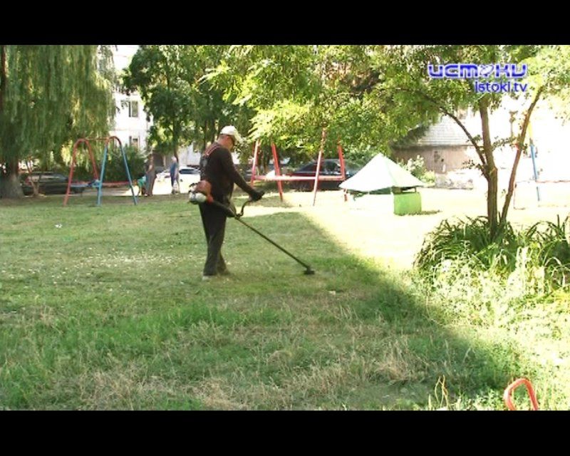 Кто должен отвечать за покос заросших дворов?