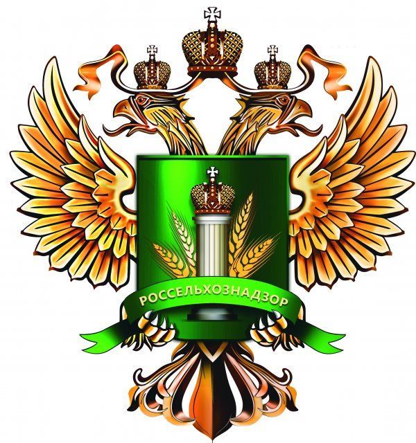 На орловском рынке нашли 446 саженцев без документов