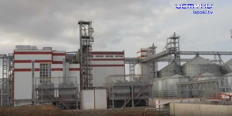 Какая продукция орловских аграриев востребована на мировых рынках?