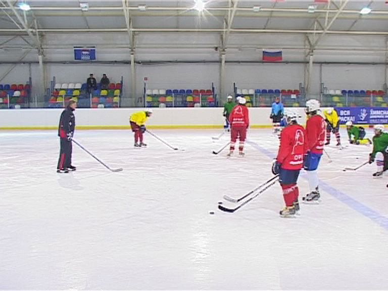 Александр Перебейнос возглавил орловскую хоккейную команду