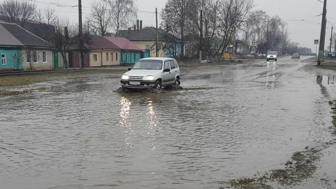 Видео: водная преграда разделила на две части ул. Пушкина в Орле