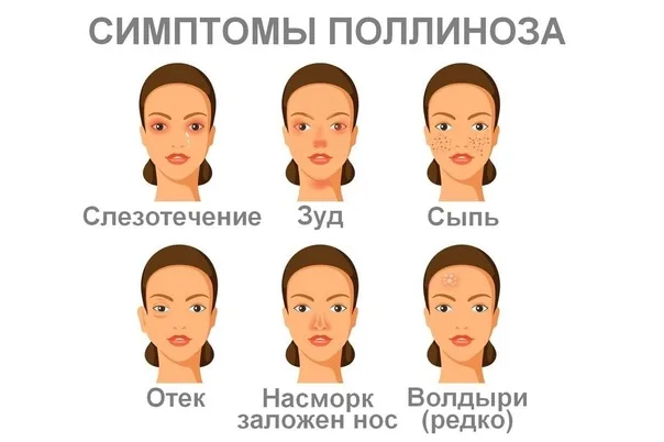 Поллиноз на Орловщине: как пережить цветение