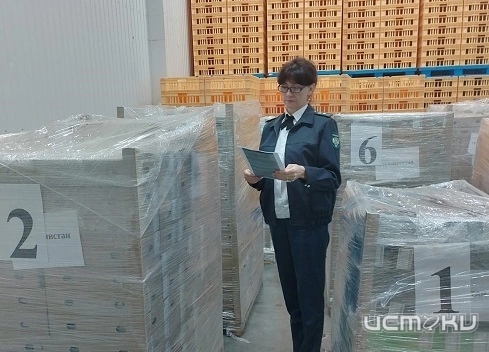 Из Орла в Туркменистан отправлена первая в этом году партия сыра и сырного продукта Из Орла в Туркменистан отправлена первая в этом году партия сыра и сырного продукта