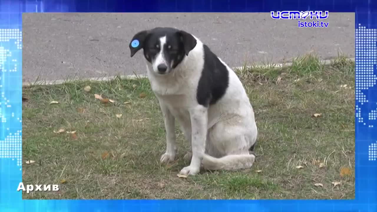 Город начали убирать. Экспресс - новости.