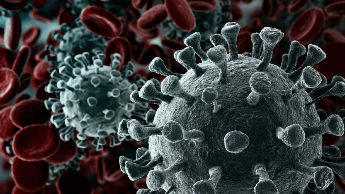 Орловщина прошла пик пандемии коронавируса одной из последних в ЦФО