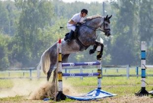 В следующие выходные в поселке «Ледно» пройдут Чемпионат и Первенство области по конкуру