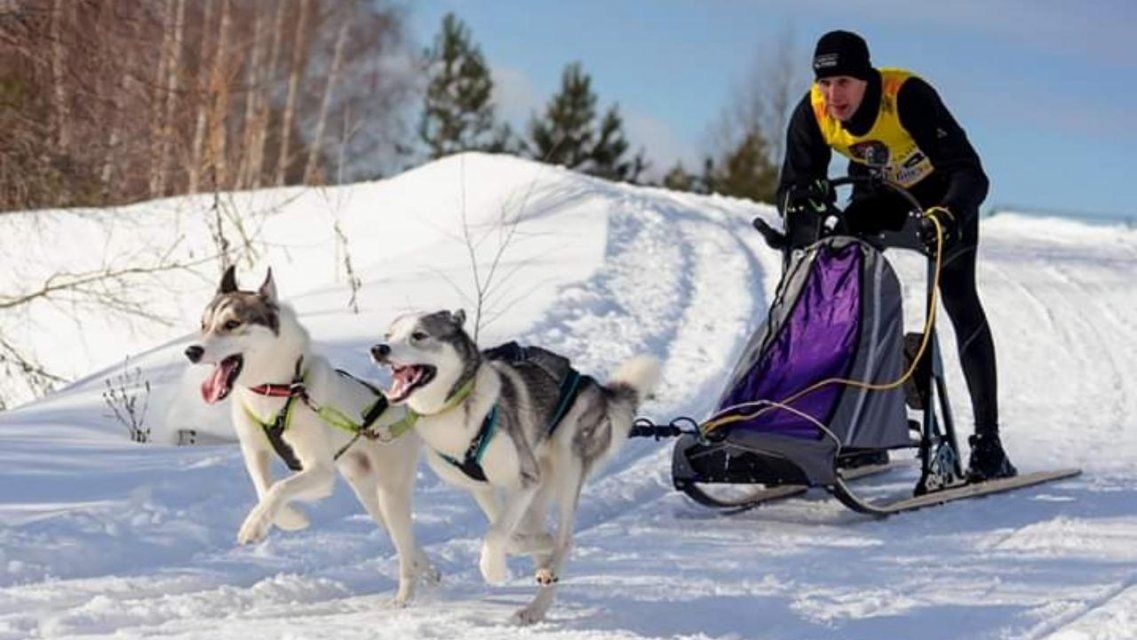 О гонках на собачьих упряжках — в прямом эфире Ретро FM в Орле