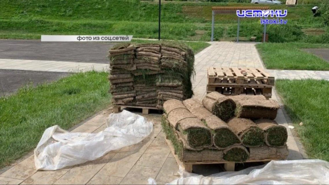 Орловские «прогульщики» возобновили экскурсии, а в детском парке перестилают новый рулонный газон