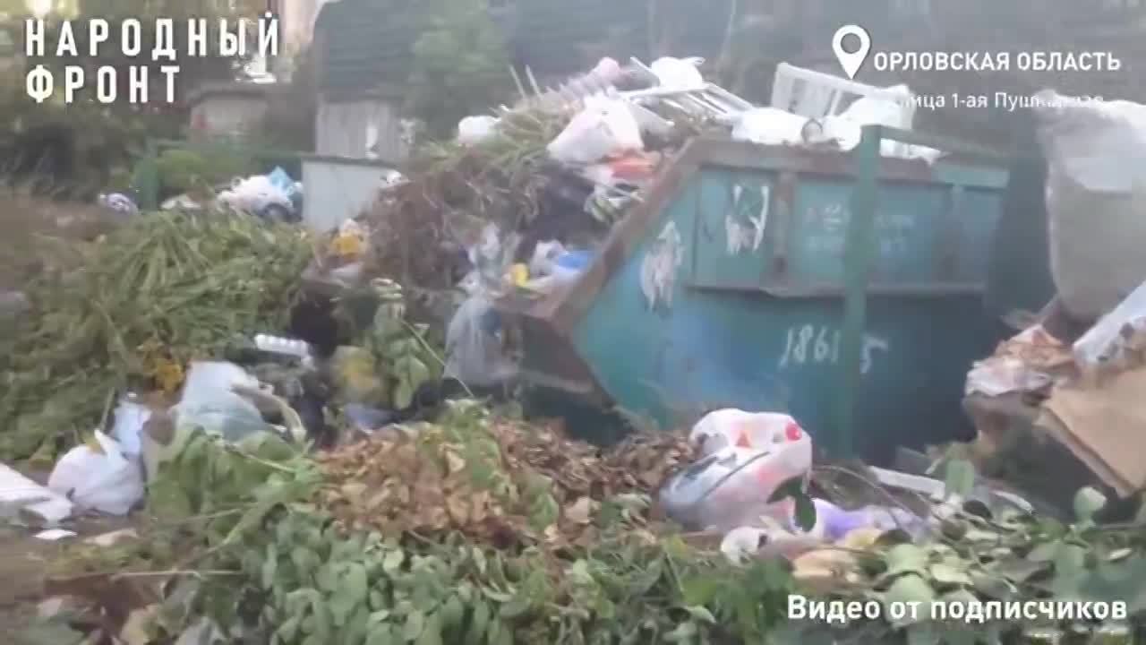Жители улицы 1-й Пушкарной в Орле страдают от запаха разлагающихся отходов, тучи мух и крыс