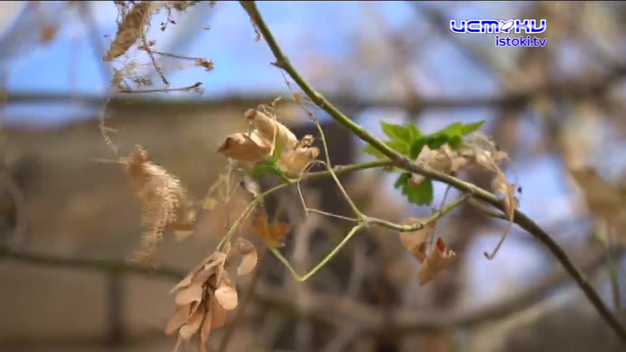 Экспертное мнение 02.10.2024