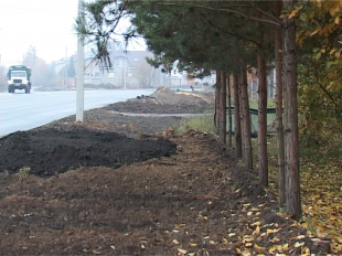 Строители подали в суд на жителей, которые отстаивали деревья 