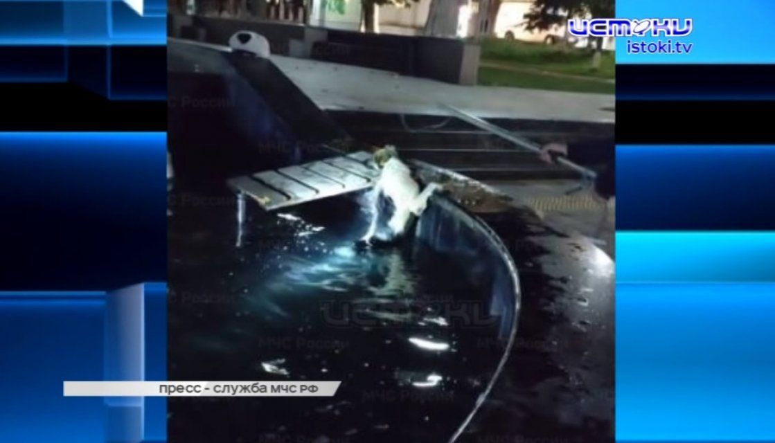 Экспресс-новости: Чиновница мэрии под домашним арестом, гигантская очередь в онкодиспансер, а двух подрядчиков прилично оштрафовали — все это и не только в нашей постоянной рубрике 