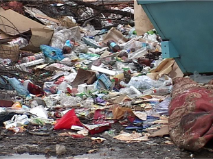 Новости за 90 секунд: в пруду утонул рыбак, по области пройдут "мусорные рейды", а городские библиотеки и университеты получат книги известной современной писательницы