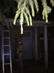 В Болховском районе горело бесхозное здание