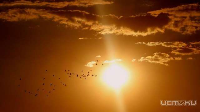 Сегодня день зимнего солнцестояния 