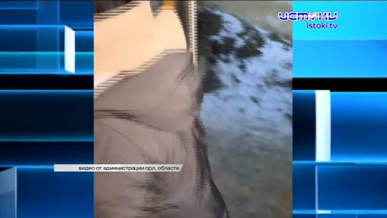 Экспресс-новости: на улицах Орла появился новогодний трамвай, "Истоки" теперь можно смотреть онлайн и на рутьюб, орловская мэрия поделилась планами н...