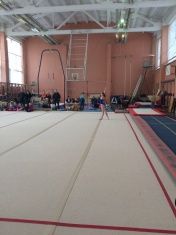 В Орле проходит открытое первенство Орловской области по спортивной гимнастике