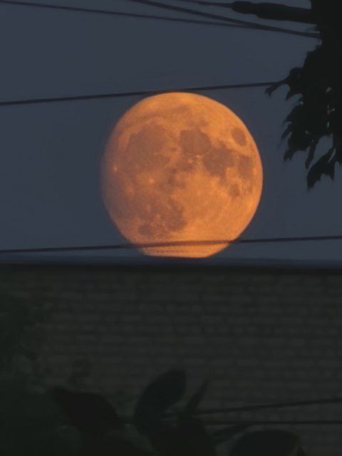 «Оленья луна» взошла над Орловской областью