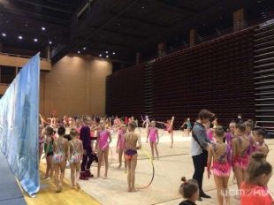 В Орле проходит турнир по художественной гимнастике «Amadeuscup» 