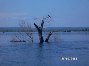 25 дней из жизни орловских спасателей 