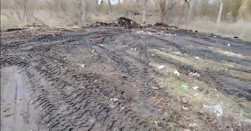 В Орловской области ликвидированы все свалки на землях сельхозназначения, обнаруженные с начала года