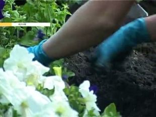 Новости за 90 секунд: В Орловской области формируется банк жилья для вынужденных переселенцев из Украины