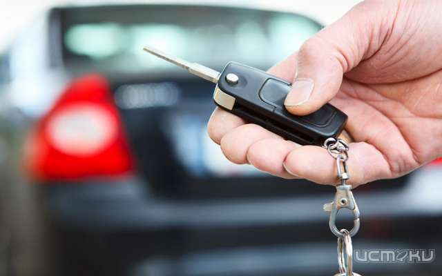 Москвичка случайно нашла пропавший автомобиль в Орловской области