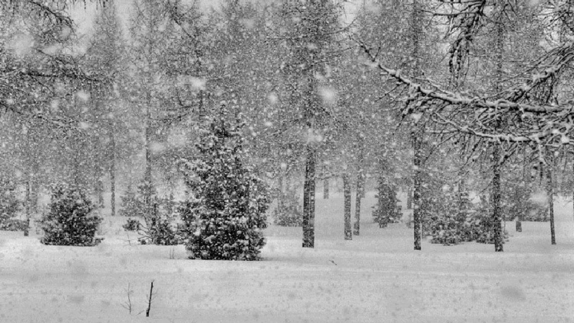 Во власти циклона: сегодня в Орле снова ожидается снег