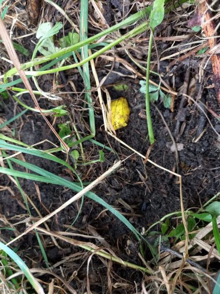 В Орле с поличным задержали очередного кладмена