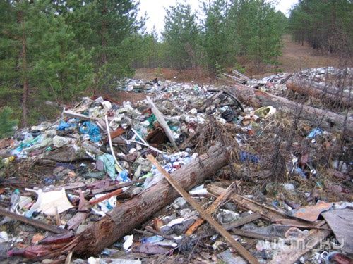 Администрация Химок устраняет свалки 