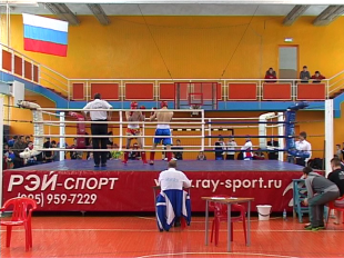 11 орловчан стали победителями Чемпионата и Первенства ЦФО по кикбоксингу 