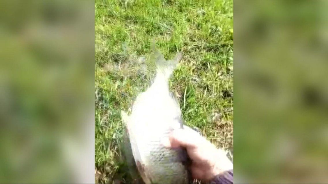 Орловчане пожаловались на два завода, загрязняющих отходами среду