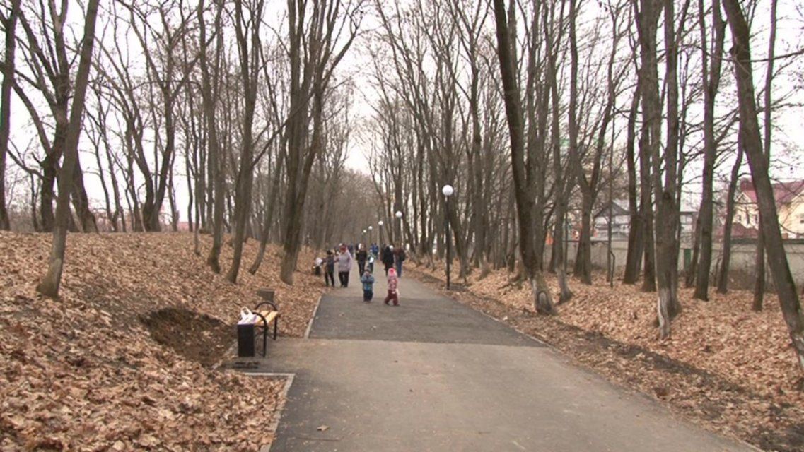 Отклик на репортаж: орловский депутат надеется решить вопрос уборки «Ботаники» в апреле