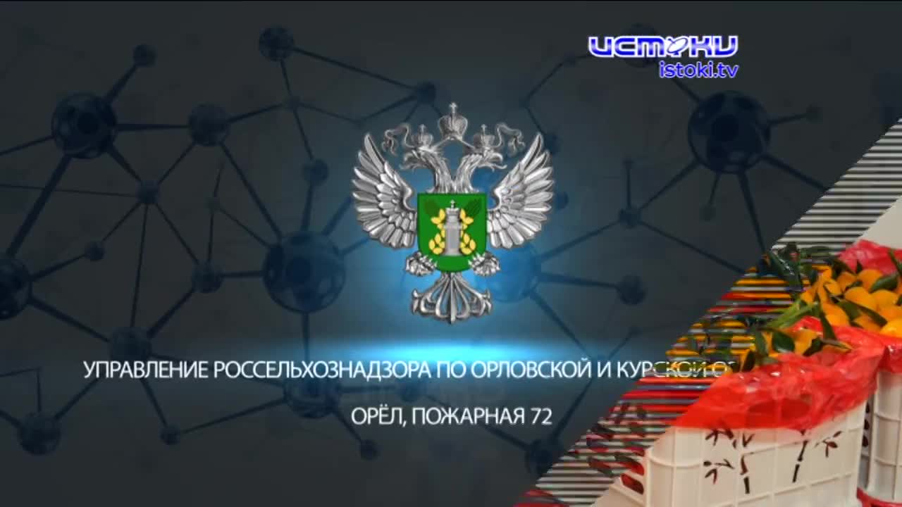 Экспертное мнение 17.12.2025