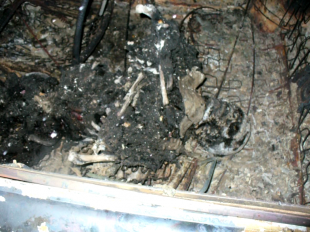 Новости за 90 секунд: в автомобиле сгорел мужчина, больше половины орловчан сдают экзамен ПДД со второго раза, а инспекторы ДПС наведываются на самые крупные парковки города