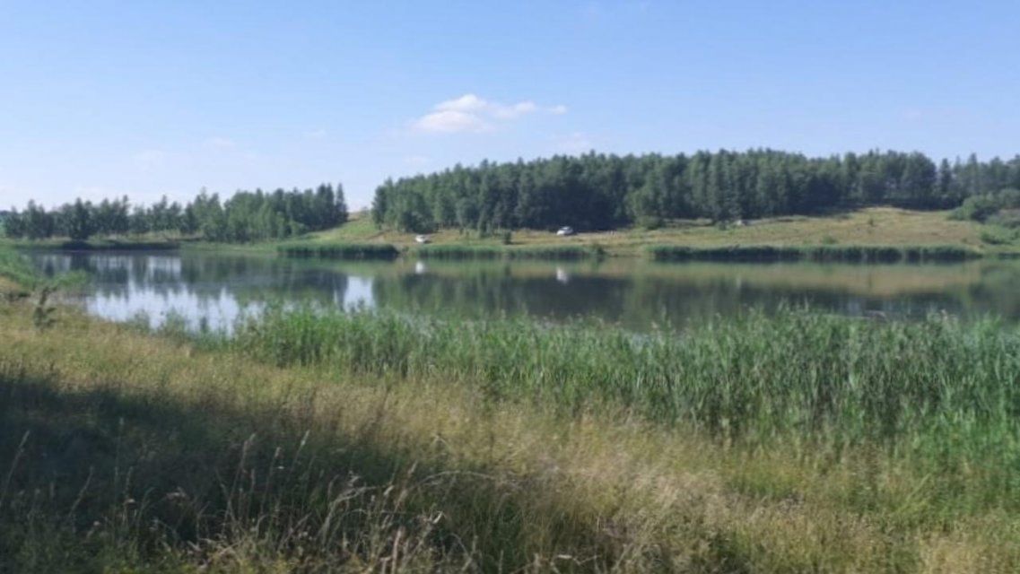 13-летний подросток погиб во время купания в пруду под Орлом