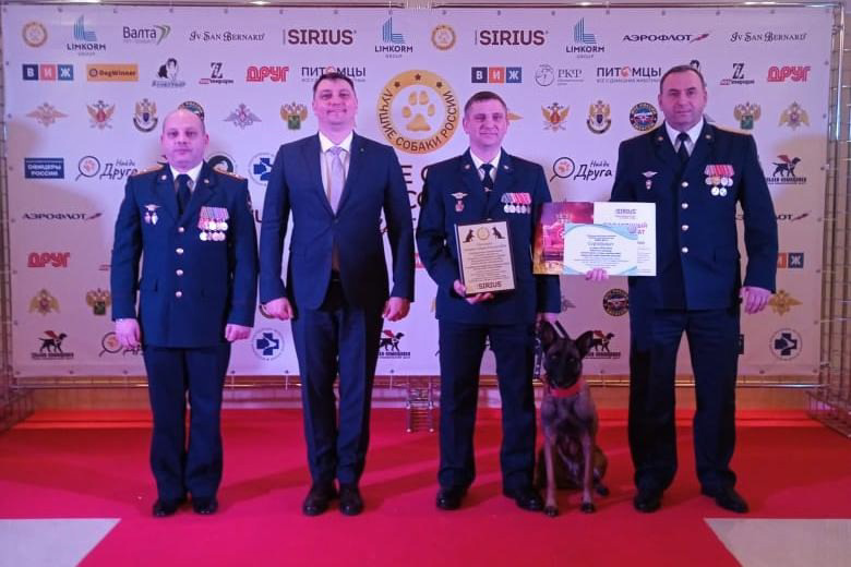 Орловские кинологи и их четвероногие напарники блеснули на выставке «Лучшие собаки России»