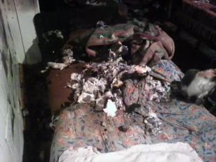 Два человека погибли в пожарах на Орловщине 