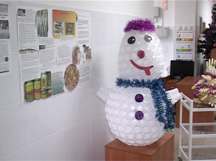 Новости за 90 секунд: с африканской чумой будут бороться мобильные отряды, у администрации Железнодорожного района отняли здание, а в городских больницах новогоднее настроение создают своими руками