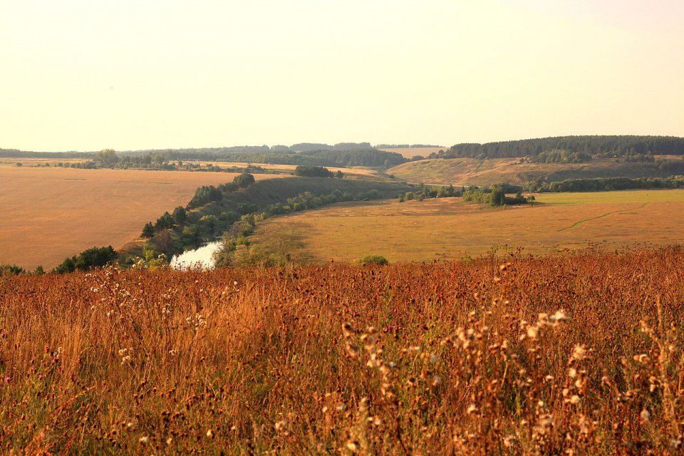 Орловщина оказалась на 64 строчке экологического рейтинга