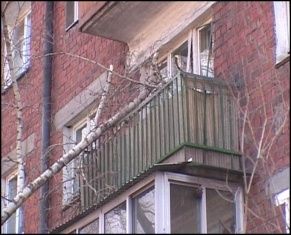 В Орле ветер спровоцировал падение дерева на балкон жилого дома