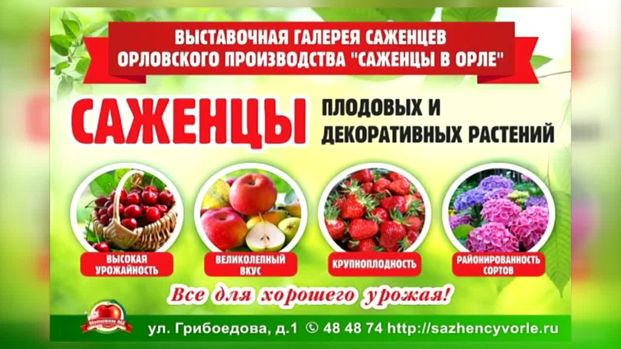 В галереи саженцев на Грибоедова есть всё для хорошего урожая